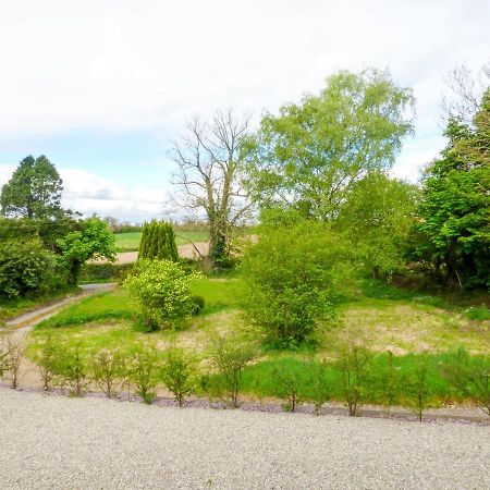 Vila Berrylane Enniscorthy Exteriér fotografie