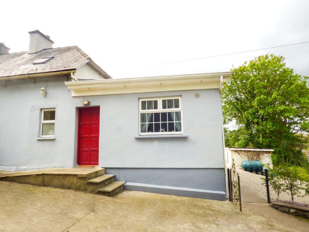 Vila Berrylane Enniscorthy Exteriér fotografie